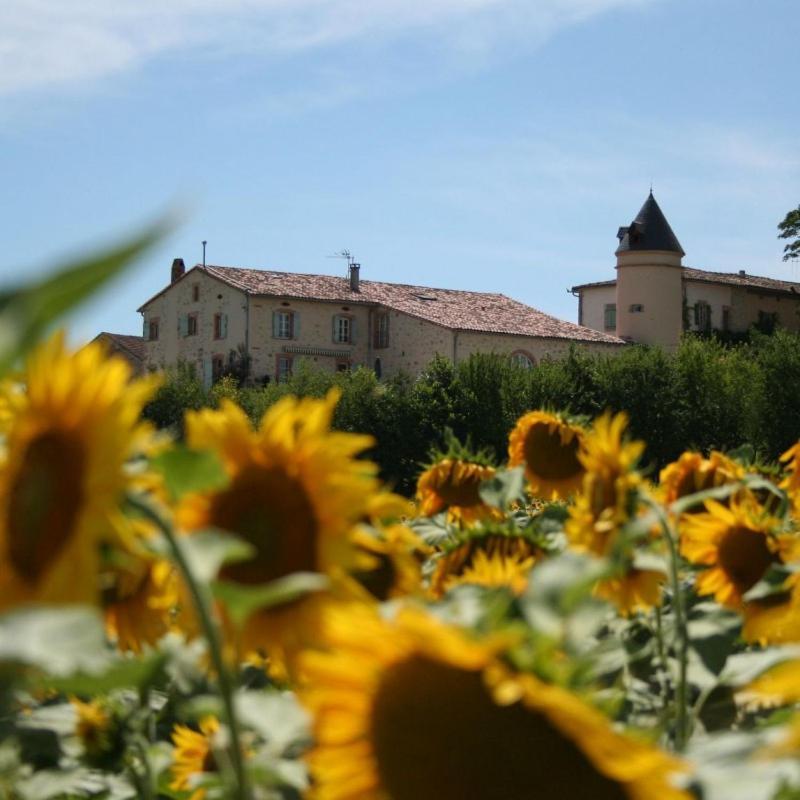 Domaine D'En Naudet Bed and Breakfast Teyssode Esterno foto