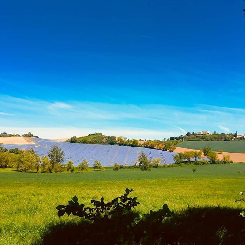 Domaine D'En Naudet Bed and Breakfast Teyssode Esterno foto